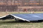 Zonnepanelen weiland