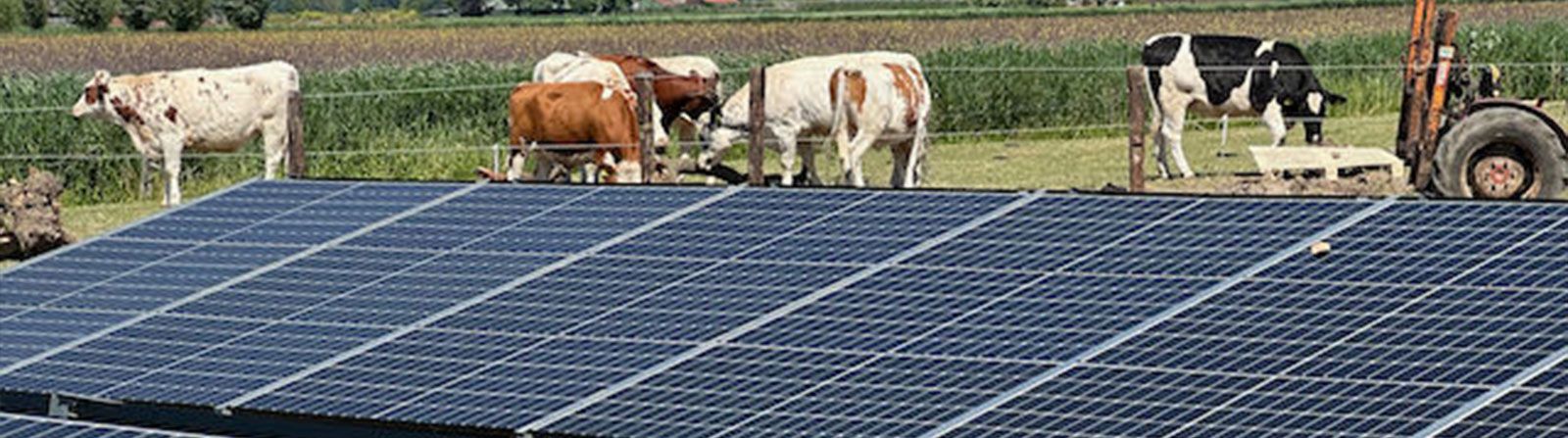 Zonnepanelen agrarische sector