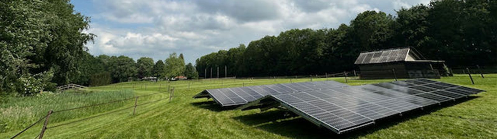 Zonnepanelen rieten dak